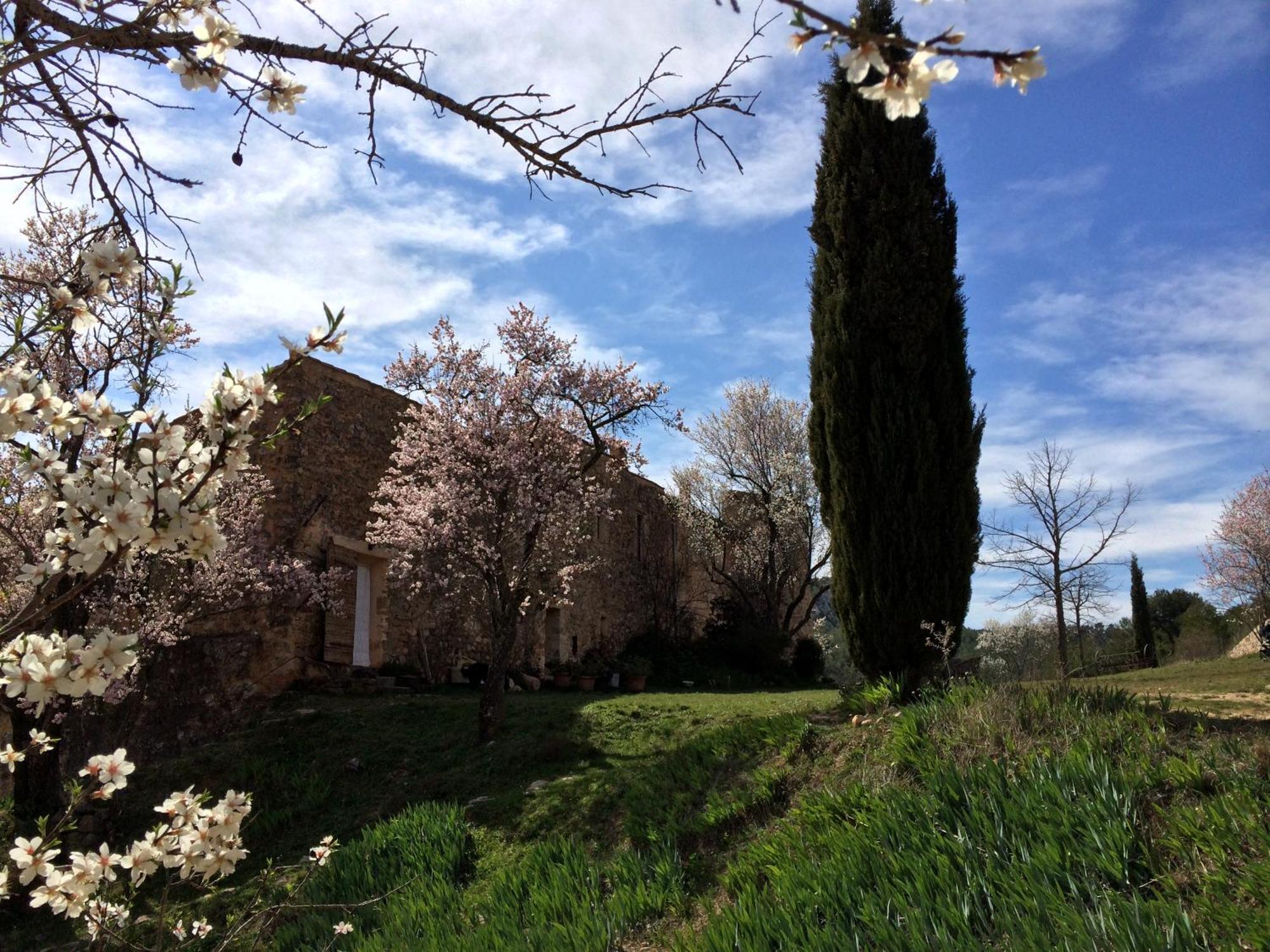 Maison A Aix En Provence Au Pied De La Sainte Victoire Beaurecueil Extérieur photo